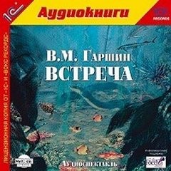 Всеволод Гаршин - Встреча