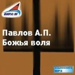 Александр Павлов - Божья воля