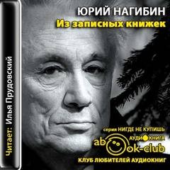 Юрий Нагибин - Из записных книжек