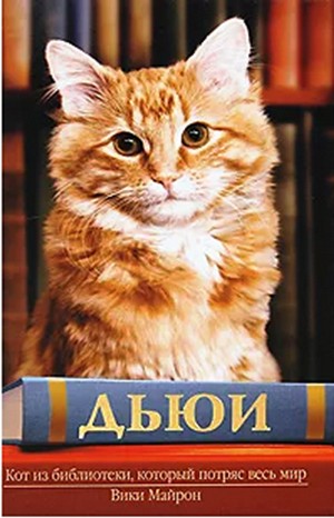 Вики Майрон - Дьюи. Кот из библиотеки, который потряс весь мир