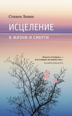 Стивен Левин - Исцеление в жизни и смерти