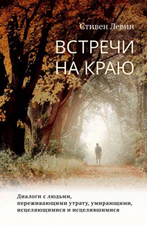 Стивен Левин - Встречи на краю