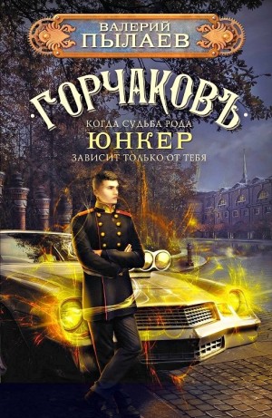 Юнкер - Валерий Пылаев - слушать аудиокнигу онлайн