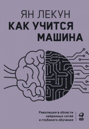 Ян Лекун - Как учится машина. Революция в области нейронных сетей и глубокого обучения