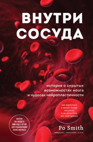 Po Smith - Внутри сосуда. История о скрытых возможностях мозга и чудесах нейропластичности