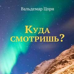 Вальдемар Цорн - Куда смотришь?