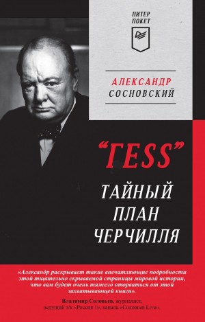 Александр Сосновский - «ГESS».Тайный план Черчилля