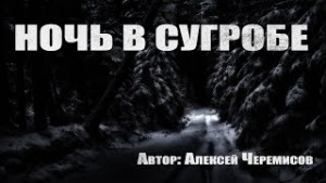 Алексей Черемисов - Ночь в сугробе (Ночёвка)