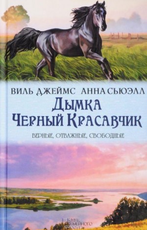 Виль Джемс - Дымка, конь ковбоя