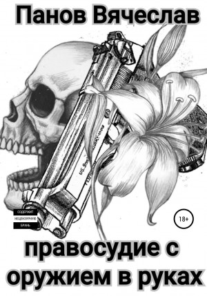 Вячеслав Владимирович Панов - Правосудие с оружием в руках