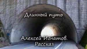 Алексей Игнатов - Длинный путь