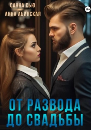 Санна Сью, Анна Абинская - От развода до свадьбы