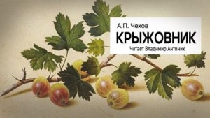 Антон Чехов - Крыжовник