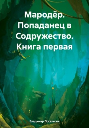 Владимир Поселягин - Попаданец в Содружество