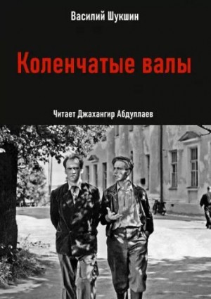 Василий Шукшин - Коленчатые валы