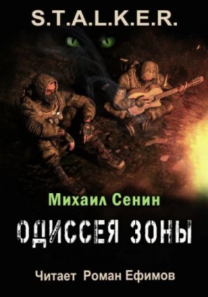 Михаил Сенин - S.T.A.L.K.E.R. Одиссея Зоны